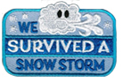 We Survived A Snow Storm